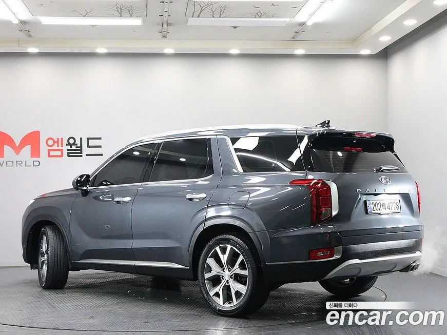 Hyundai Palisade — фото 8