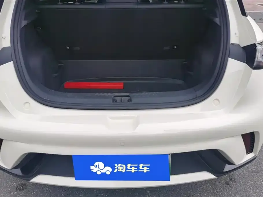 [object Object] Dolphin 2025 из CN, фото 4