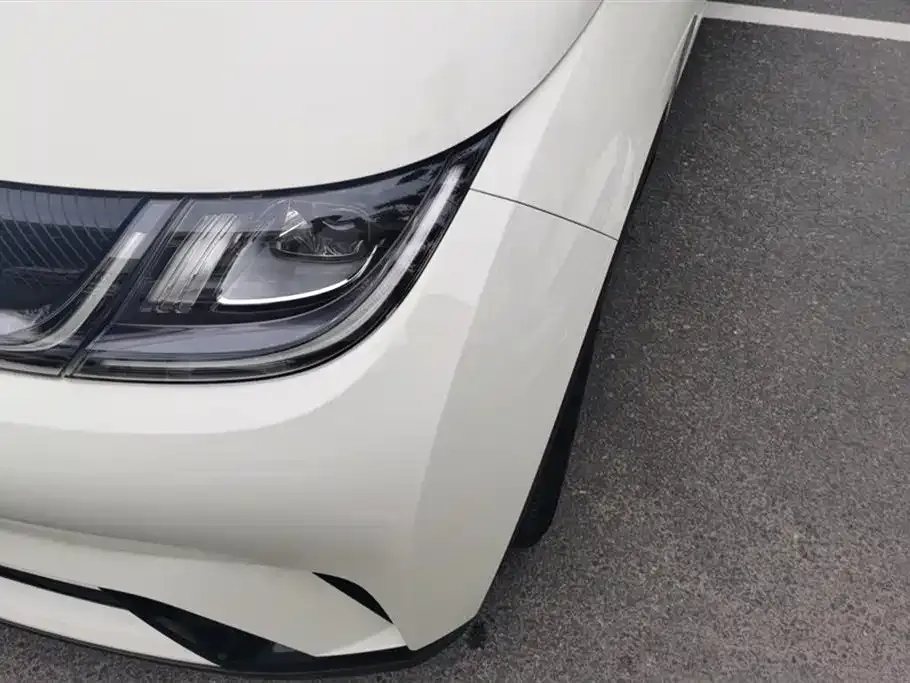 [object Object] Dolphin 2025 из CN, фото 5