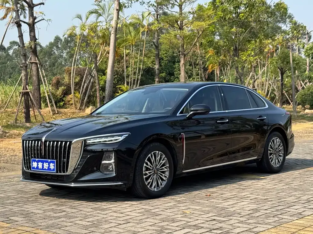 Hongqi H5 2024 из CN, фото 1