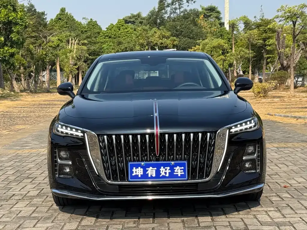 Hongqi H5 2024 из CN, фото 2