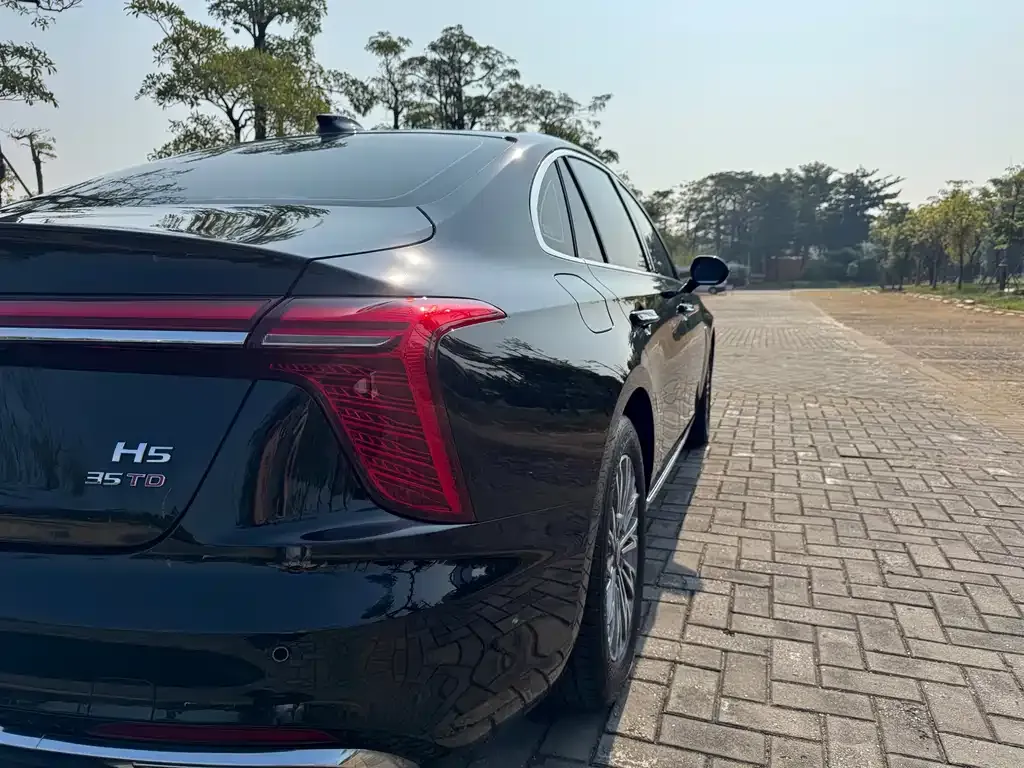 Hongqi H5 2024 из CN, фото 7