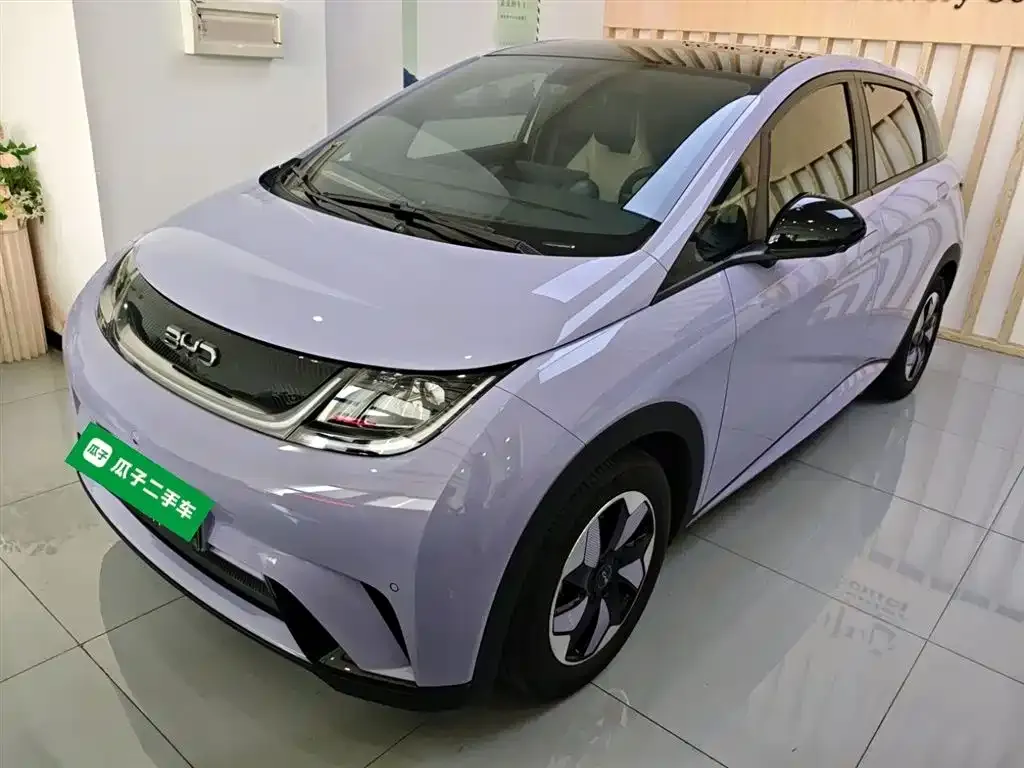 BYD Dolphin 2024 из CN, фото 1