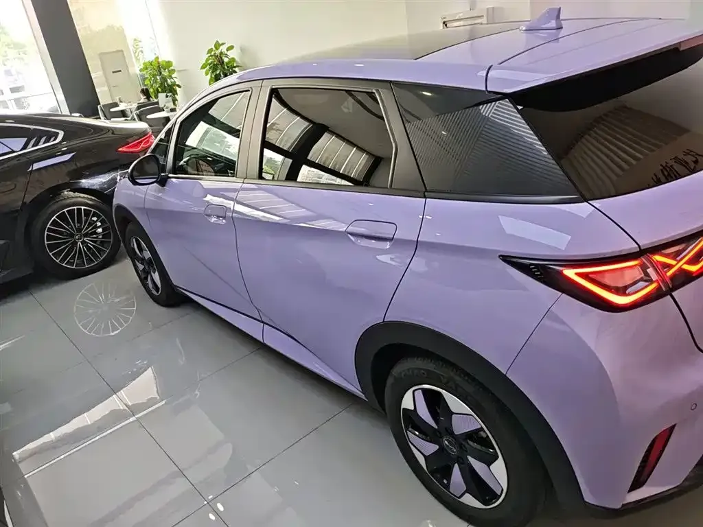 BYD Dolphin 2024 из CN, фото 10