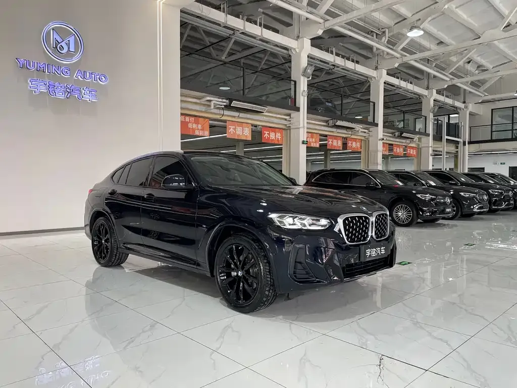 BMW X4 2024 из CN, фото 8