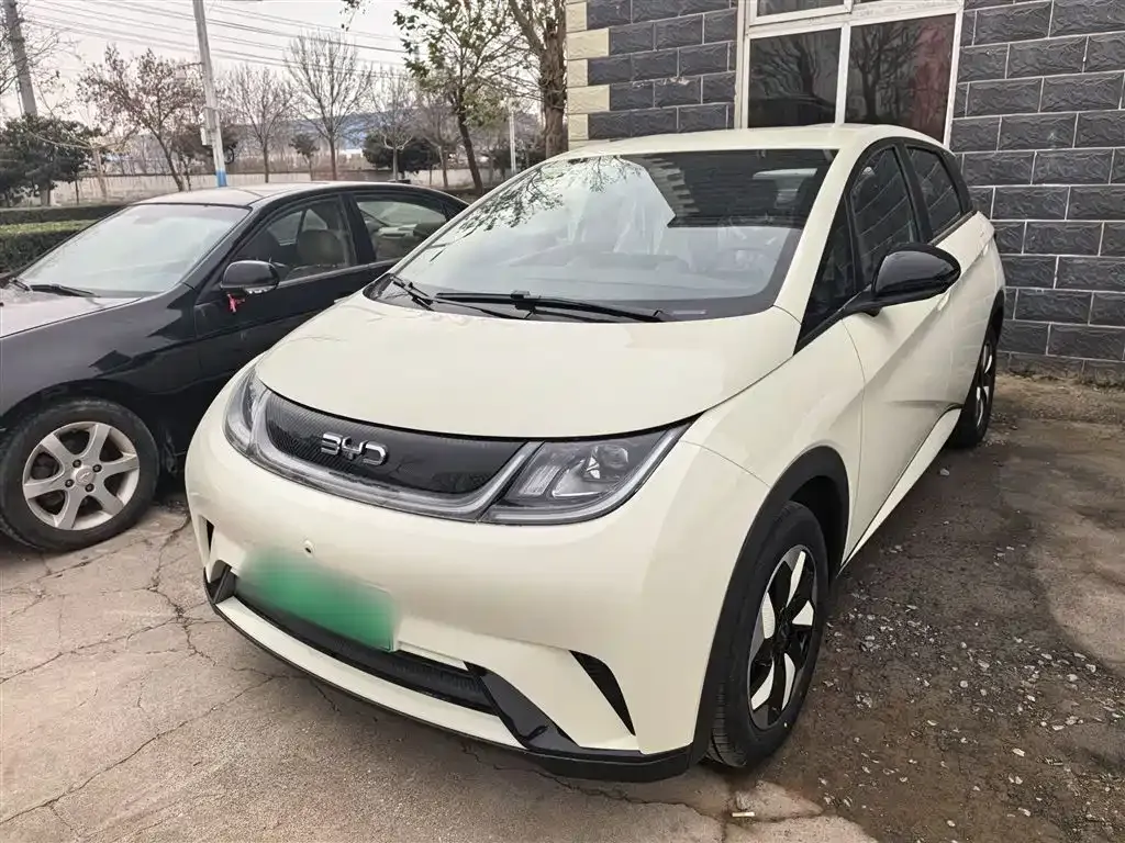 BYD Dolphin 2025 из CN, фото 1