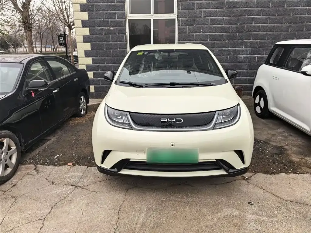 BYD Dolphin 2025 из CN, фото 4