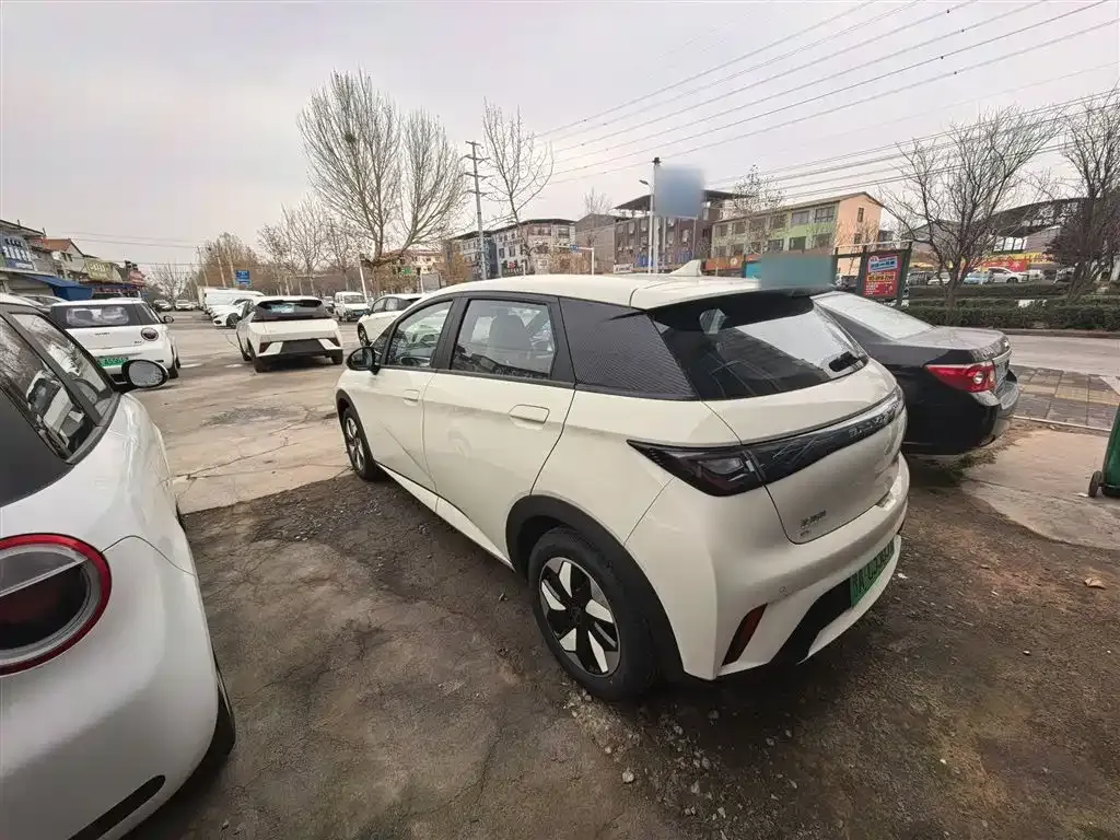 BYD Dolphin 2025 из CN, фото 9