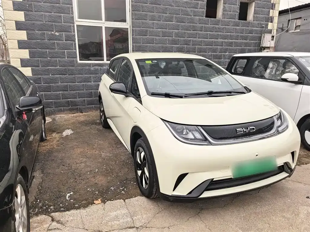 BYD Dolphin 2025 из CN, фото 6