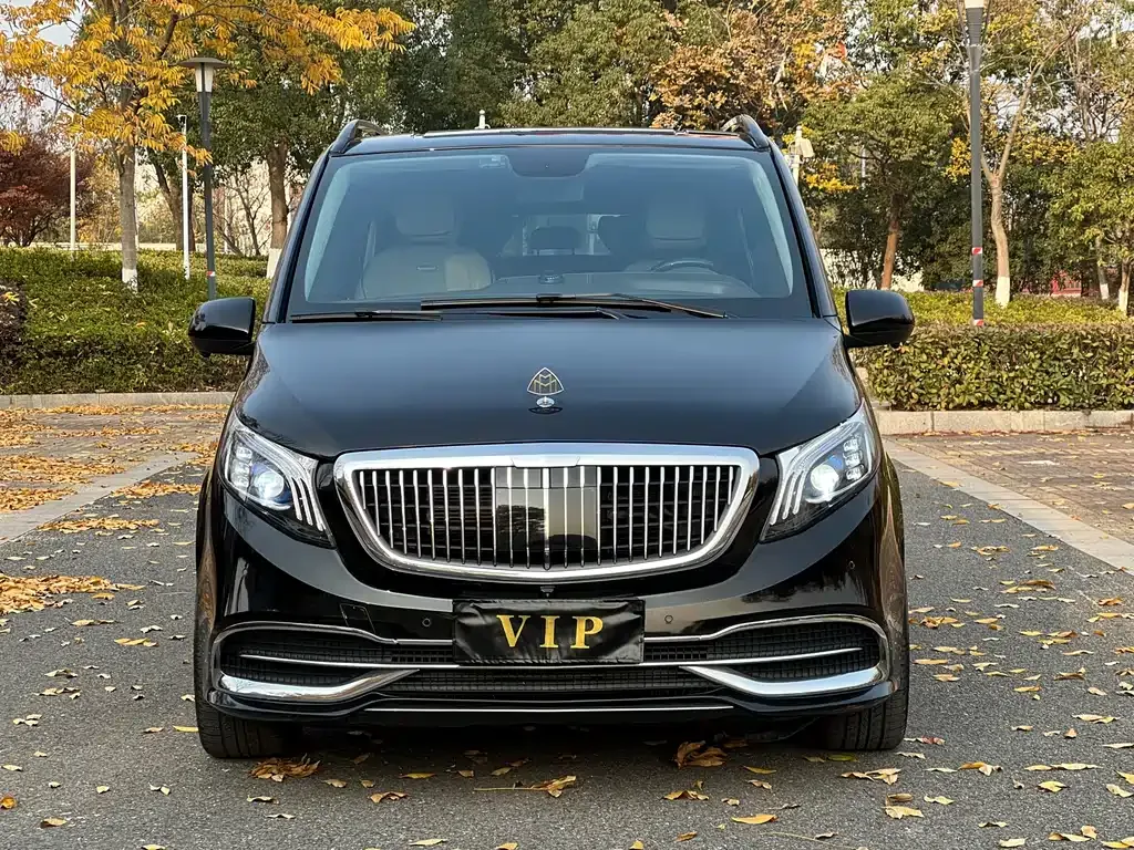 Mercedes-Benz Vito 2021 из CN, фото 8
