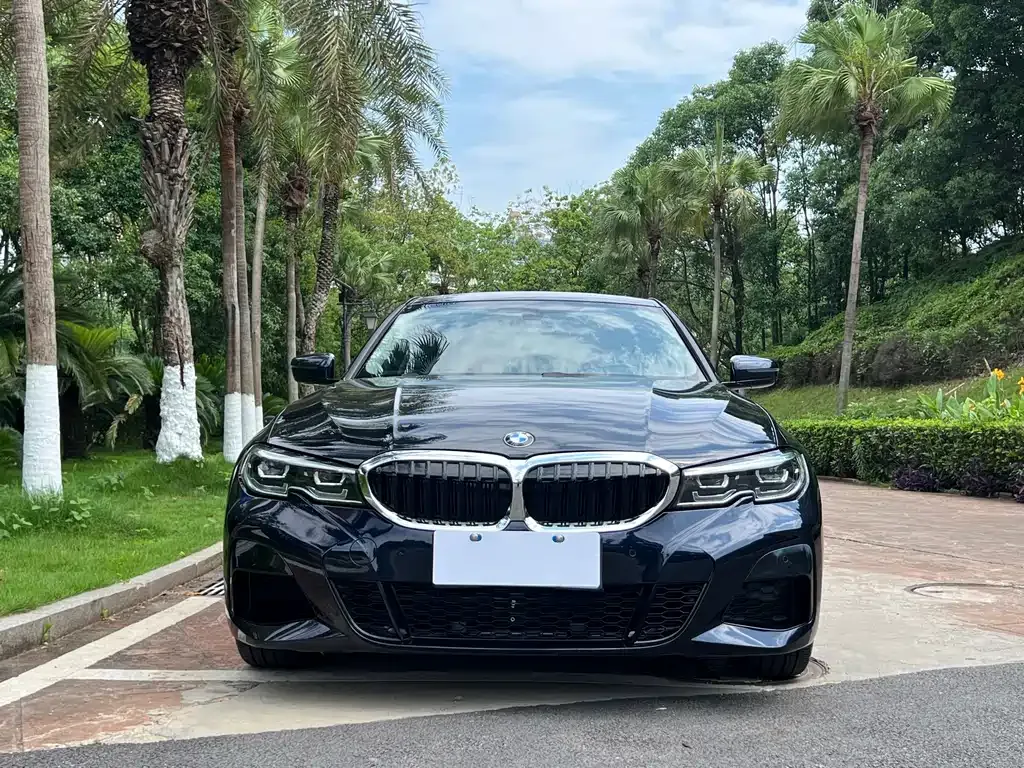 BMW 3 Series 2022 из CN, фото 4