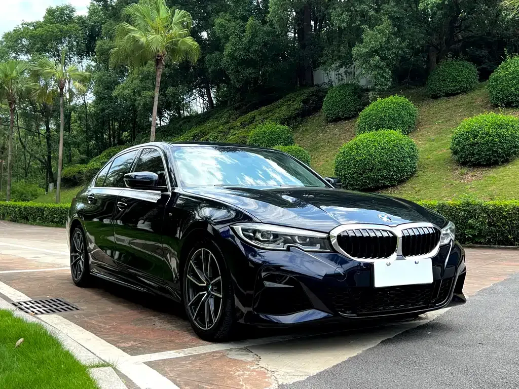 BMW 3 Series 2022 из CN, фото 10