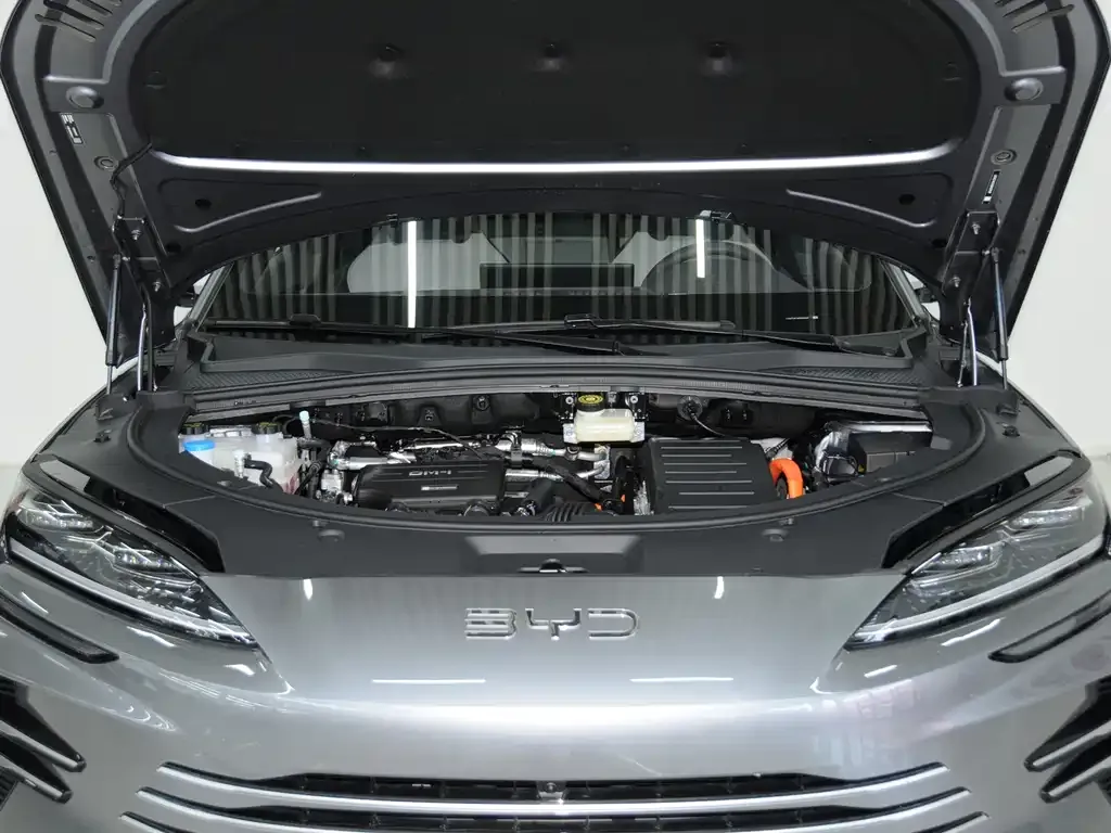 BYD PLUS New Energy — фото 7