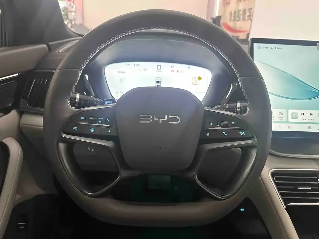 BYD PLUS New Energy — фото 2