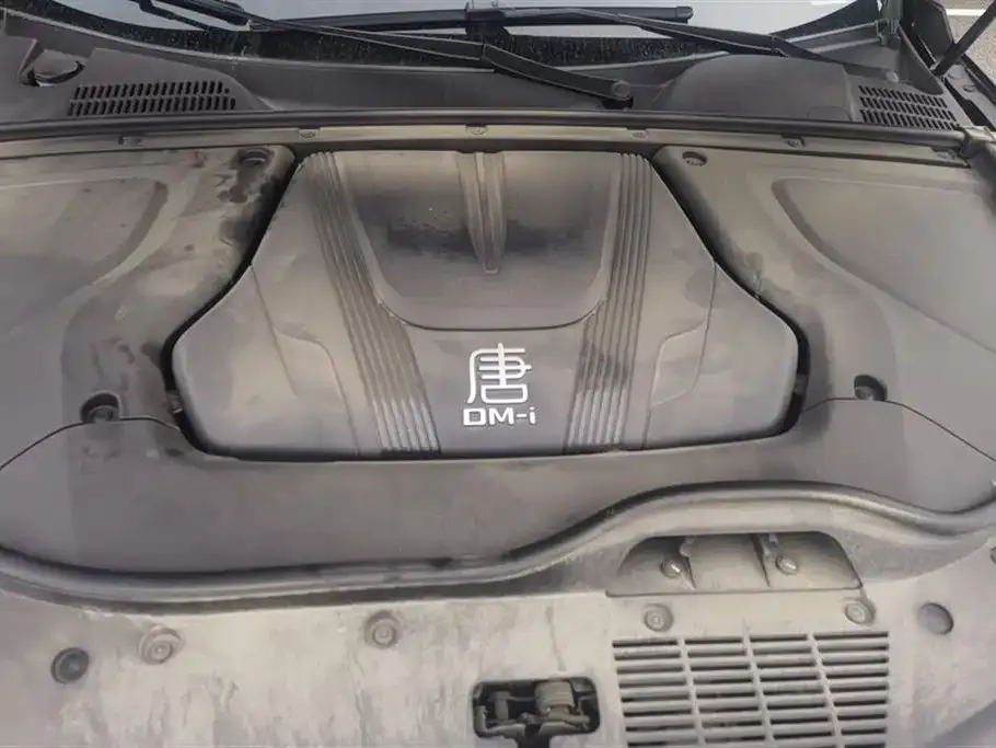 BYD Tang New Energy 2024 из CN, фото 8
