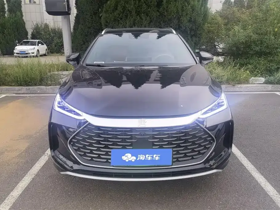 BYD Tang New Energy 2024 из CN, фото 10