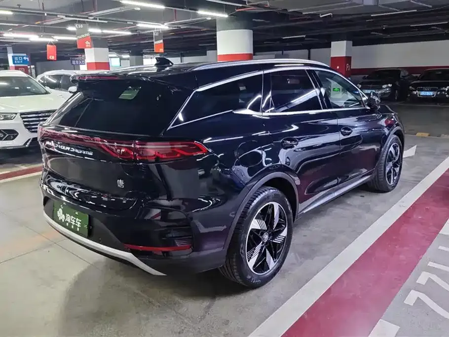 BYD Tang New Energy 2024 из CN, фото 9
