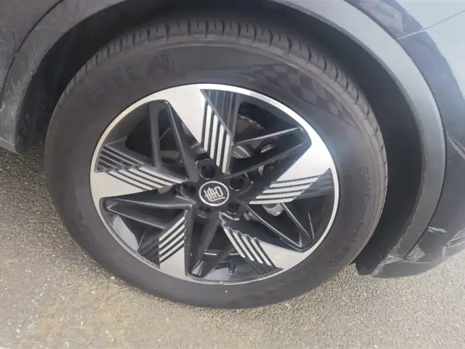 BYD Tang New Energy 2024 из CN, фото 7