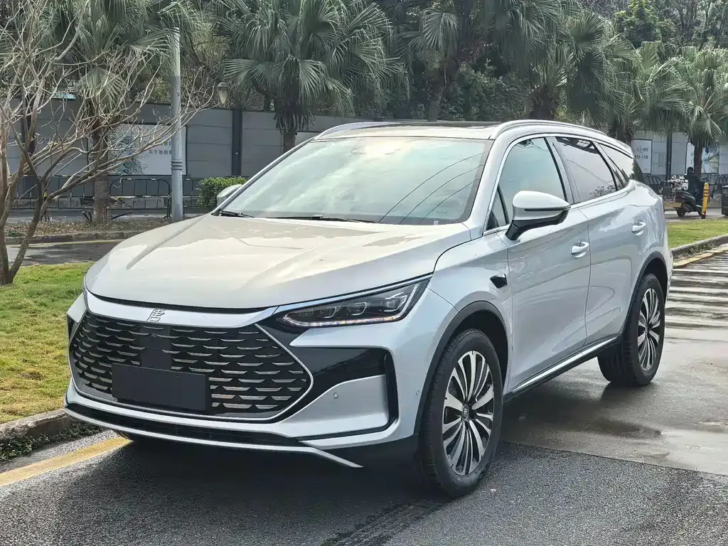 BYD Tang New Energy — фото 1