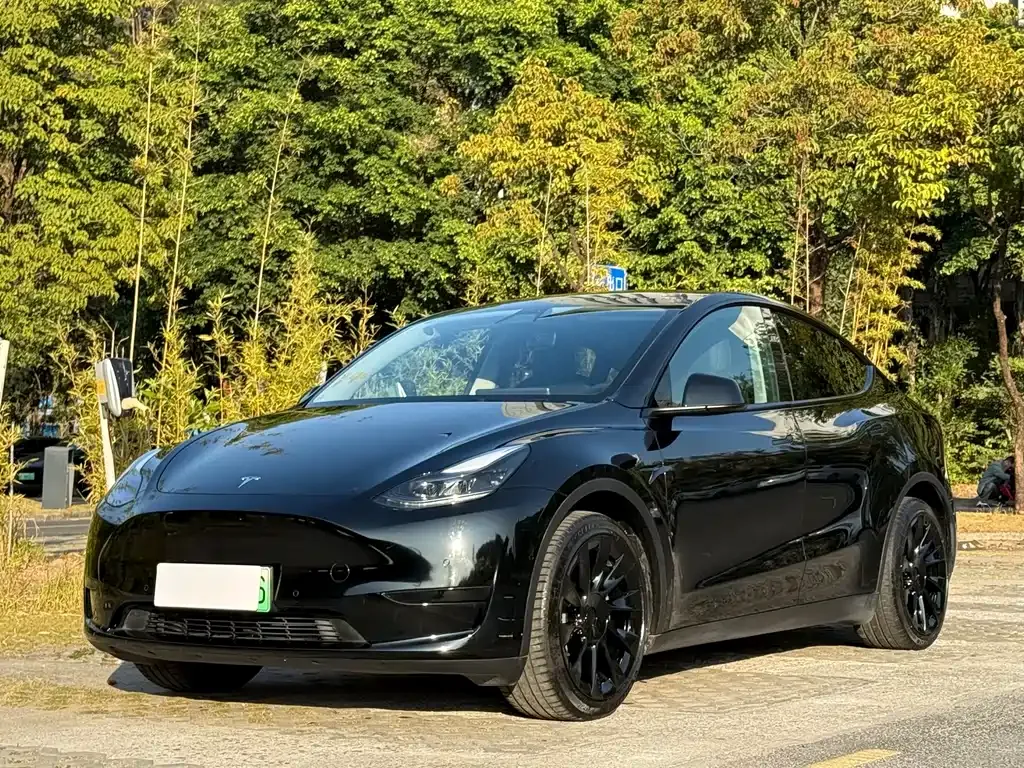 Tesla Model Y 2022 из CN, фото 1