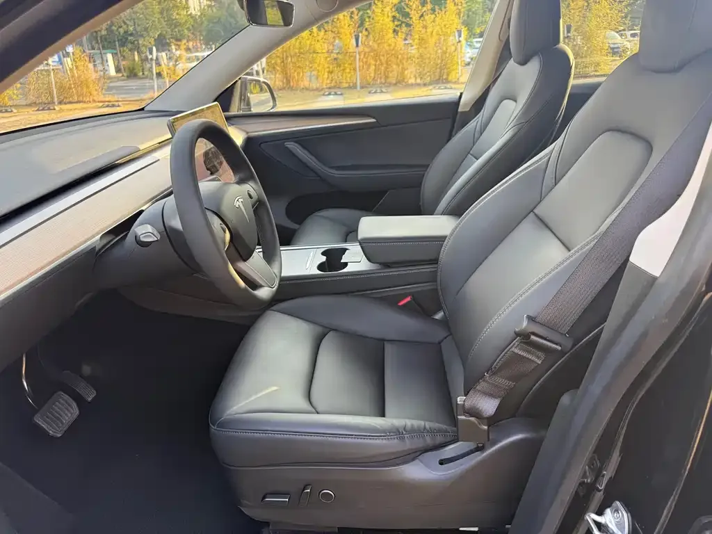 Tesla Model Y 2022 из CN, фото 3