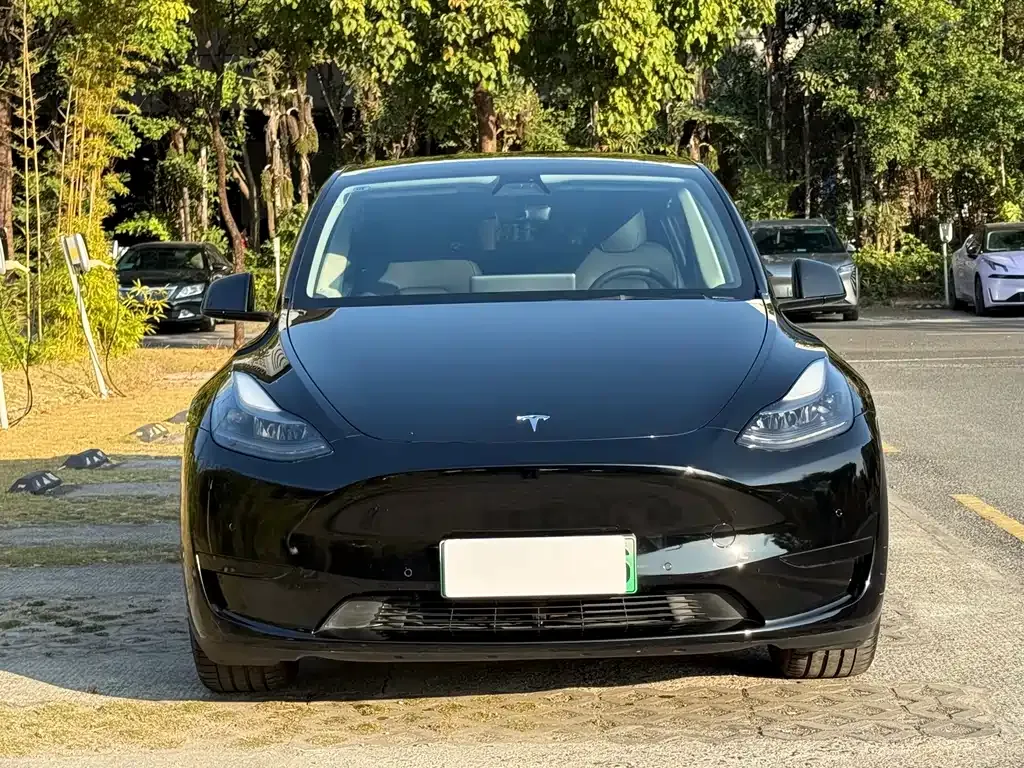 Tesla Model Y 2022 из CN, фото 5