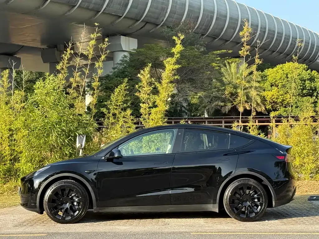 Tesla Model Y 2022 из CN, фото 9
