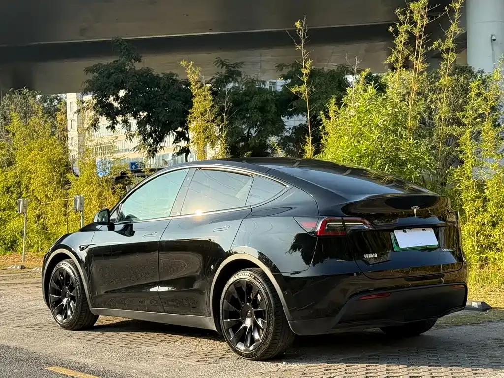 Tesla Model Y 2022 из CN, фото 8