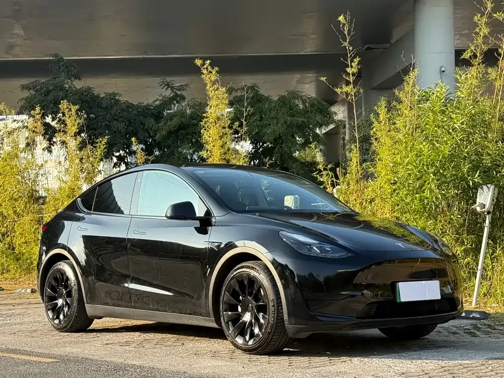 Tesla Model Y 2022 из CN, фото 4