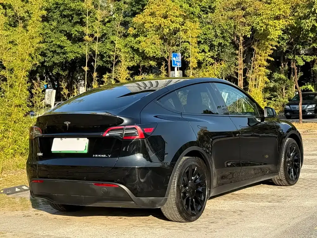 Tesla Model Y 2022 из CN, фото 6