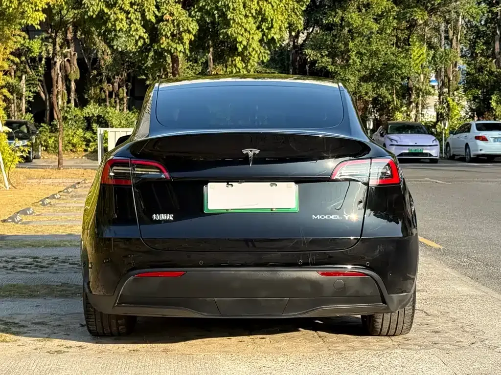 Tesla Model Y 2022 из CN, фото 7