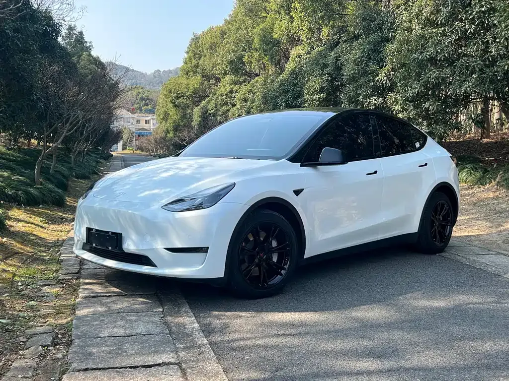 Tesla Model Y 2021 из CN, фото 1