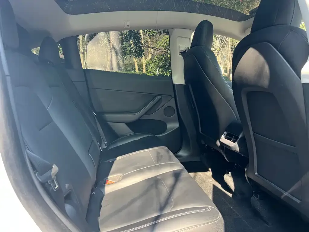 Tesla Model Y 2021 из CN, фото 2