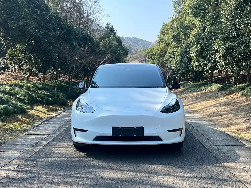 Tesla Model Y 2021 из CN, фото 3