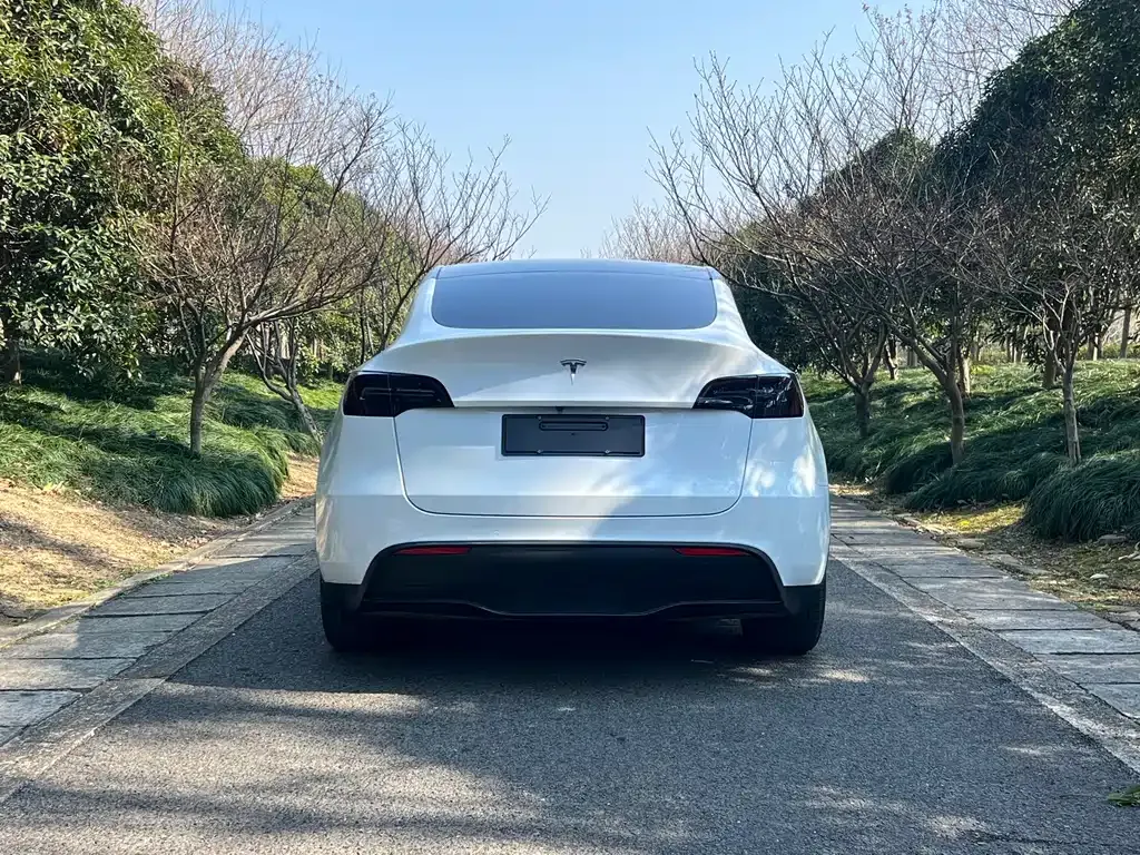 Tesla Model Y 2021 из CN, фото 4