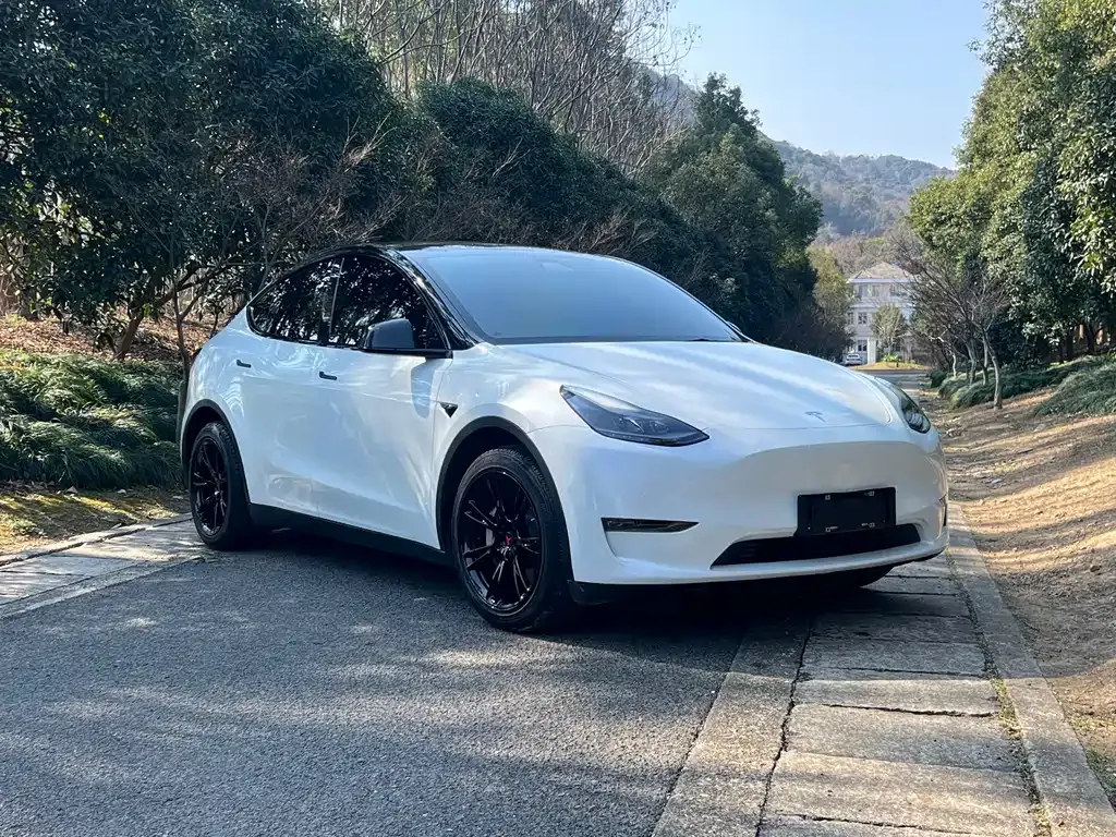 Tesla Model Y 2021 из CN, фото 9