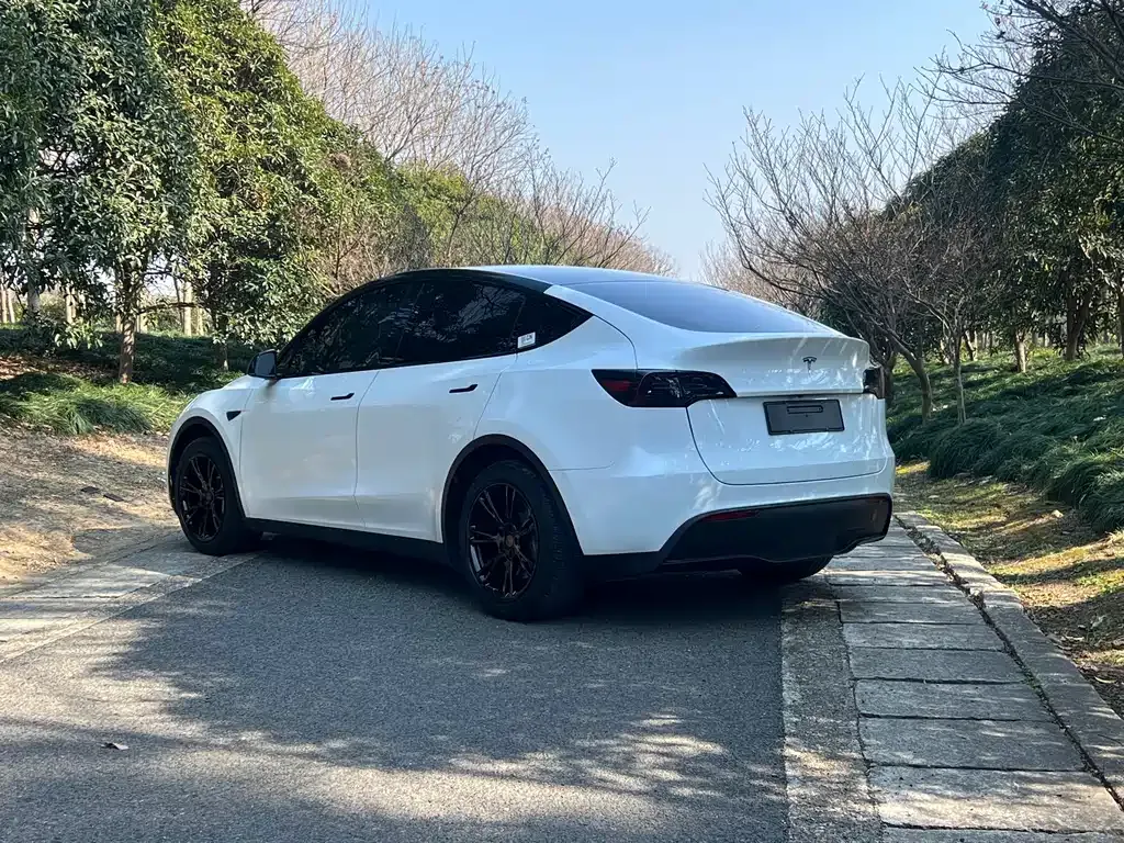 Tesla Model Y 2021 из CN, фото 8