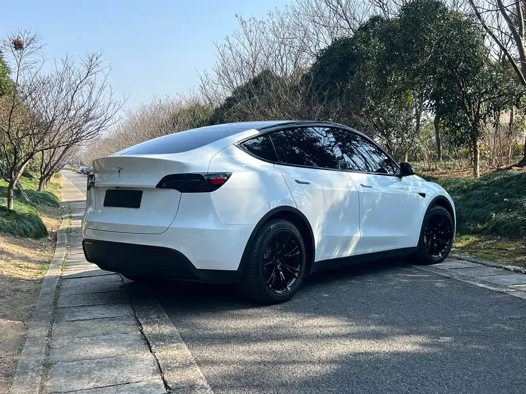 Tesla Model Y 2021 из CN, фото 10
