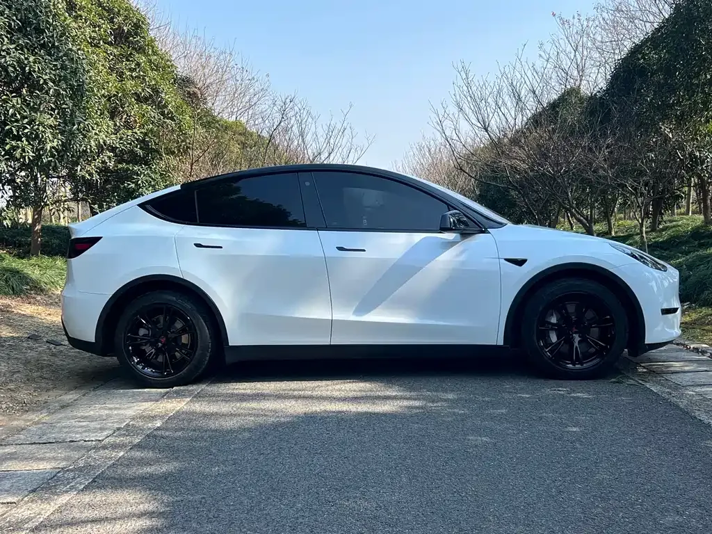 Tesla Model Y 2021 из CN, фото 7