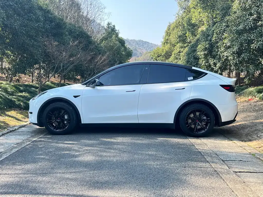 Tesla Model Y 2021 из CN, фото 6