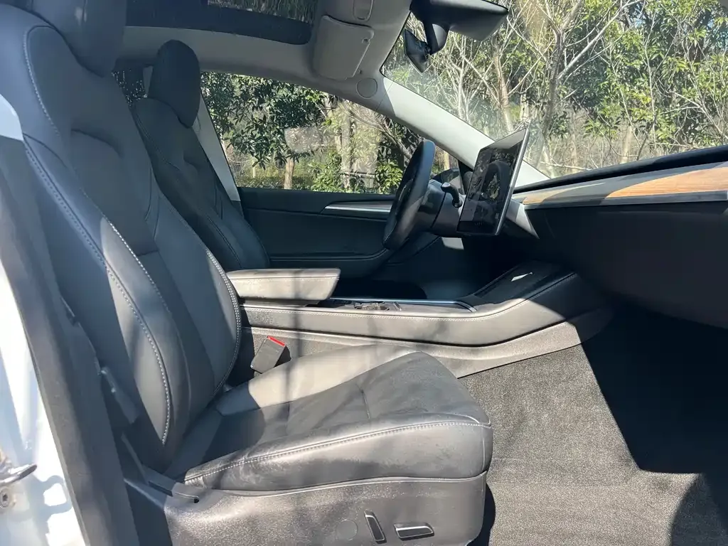 Tesla Model Y 2021 из CN, фото 5