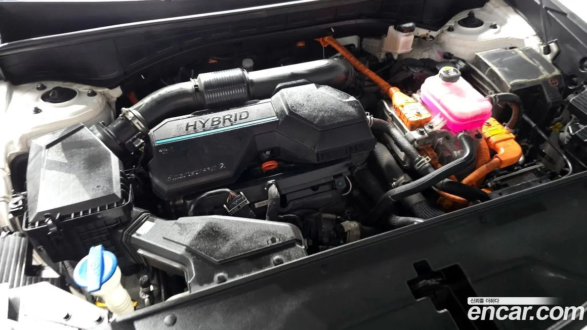 Kia Sorento 2023 из KR, фото 7