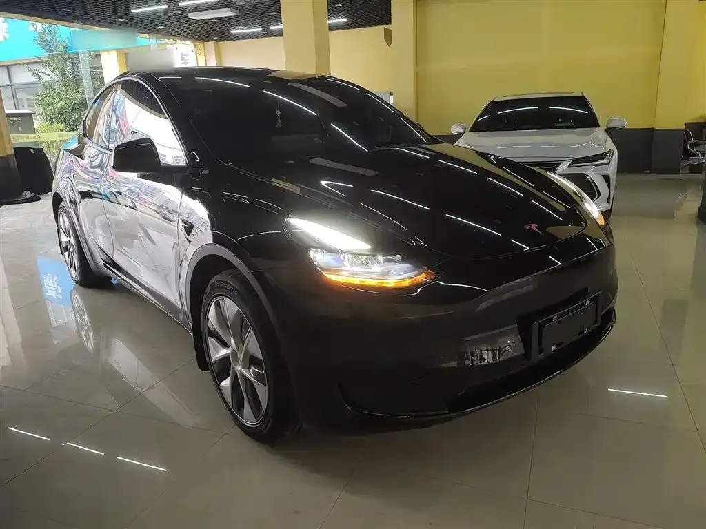 Tesla Model Y — фото 2