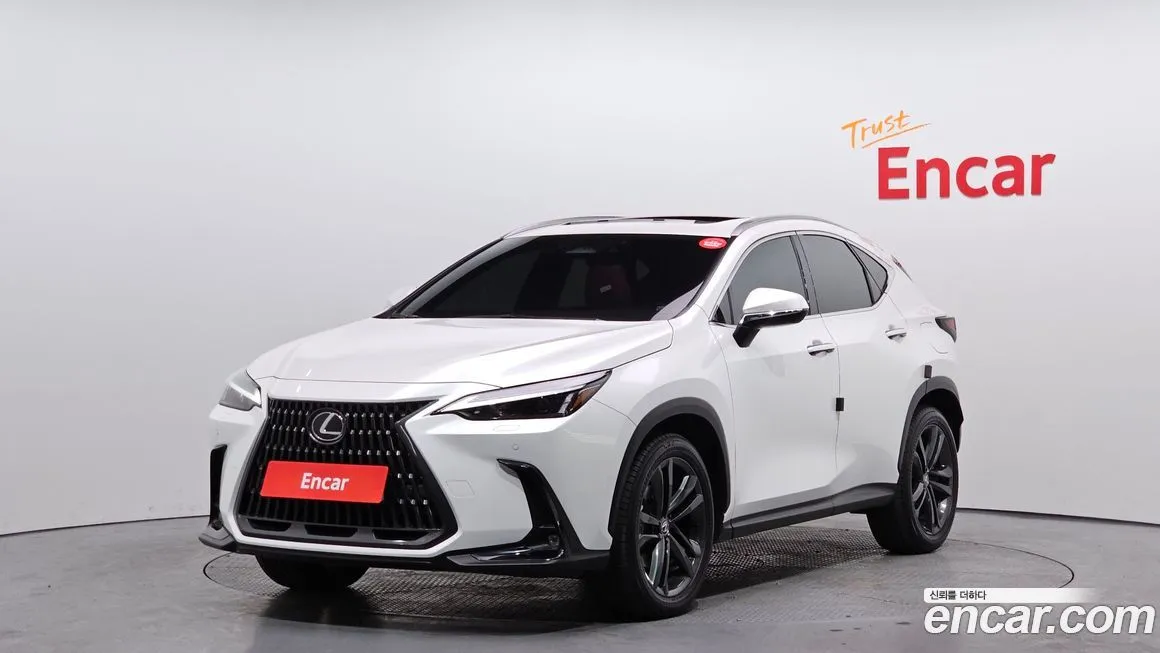 Lexus NX 2025 из KR, фото 1
