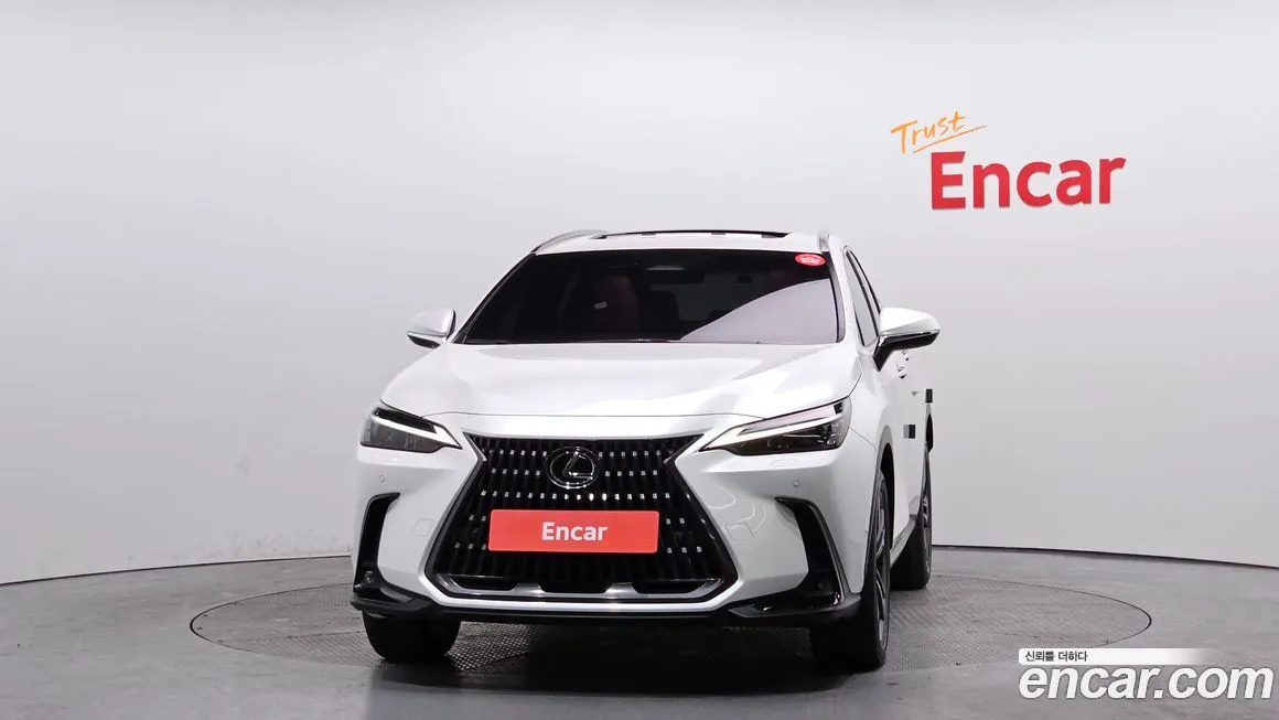 Lexus NX 2025 из KR, фото 4