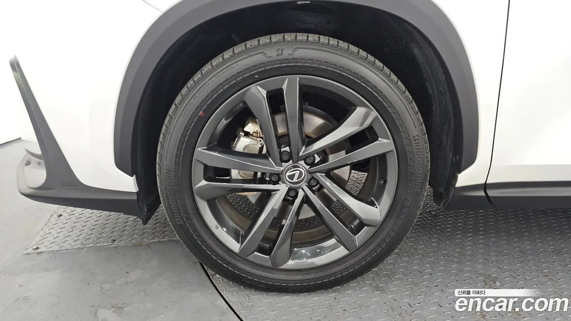 Lexus NX 2025 из KR, фото 6