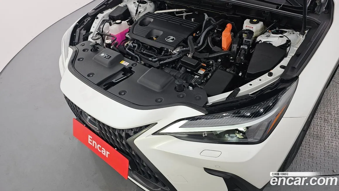 Lexus NX 2025 из KR, фото 9