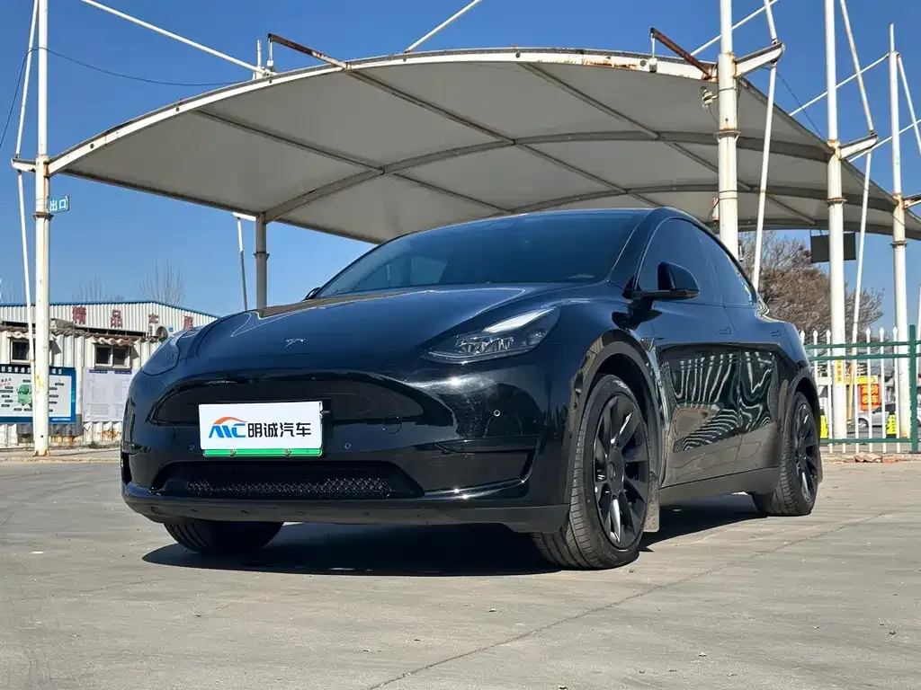 Tesla Model Y — фото 1