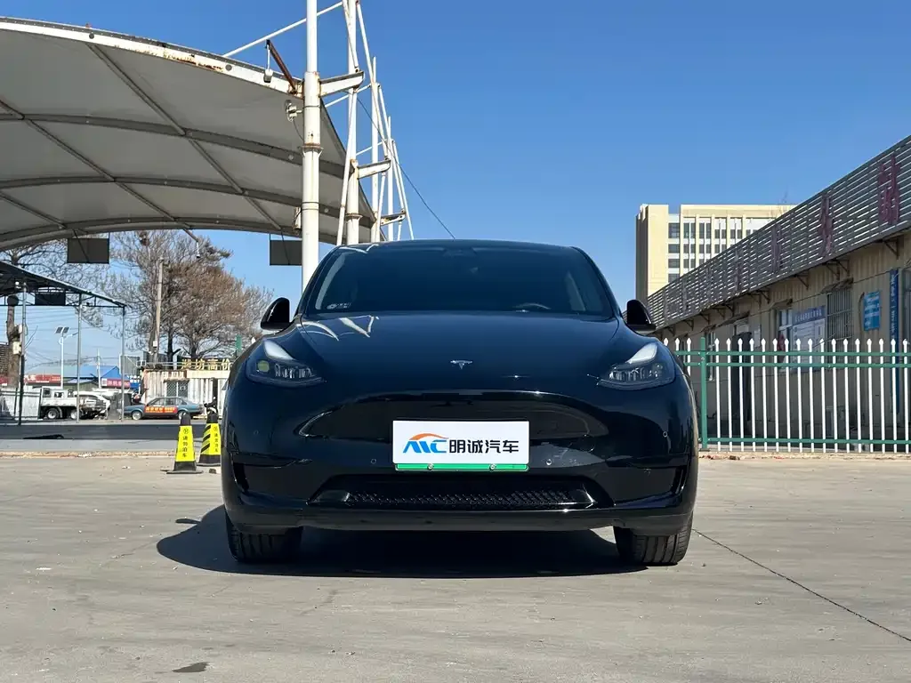 Tesla Model Y — фото 2