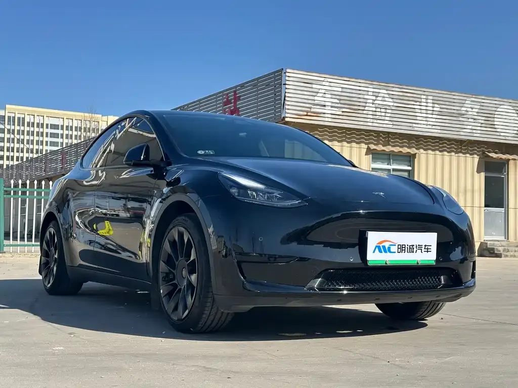 Tesla Model Y — фото 6